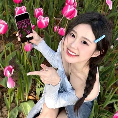 公仔炼金术 在线观看封面